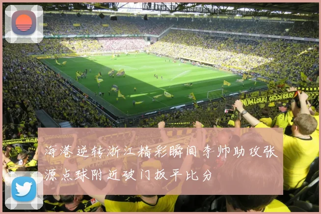 海港逆转浙江精彩瞬间李帅助攻张源点球附近破门扳平比分