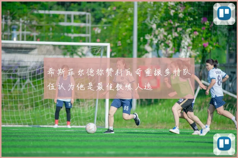 希斯菲尔德称赞科瓦奇重振多特队伍认为他是最佳教练人选